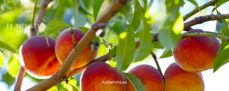 Melocotones en árbol, artículo Beneficios del melocotón de TU DIETISTA Sara Suárez Melocotones en árbol, artículo Beneficios del melocotón de TU DIETISTA Sara Suárez